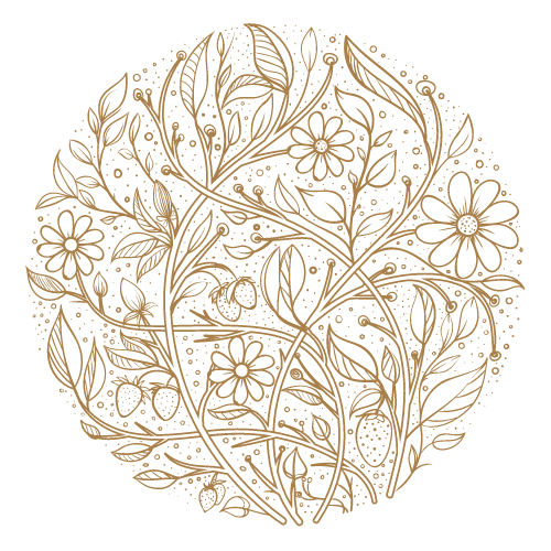 Logo Clémentine Chassain